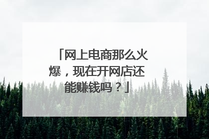 网上电商那么火爆，现在开网店还能赚钱吗？