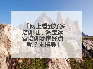 网上看到好多培训班,淘宝运营培训哪家好点呢?求指导