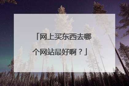 网上买东西去哪个网站最好啊?