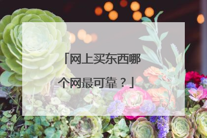 网上买东西哪个网最可靠?