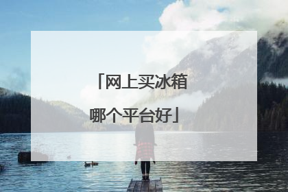 网上买冰箱哪个平台好