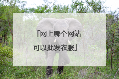 网上哪个网站可以批发衣服