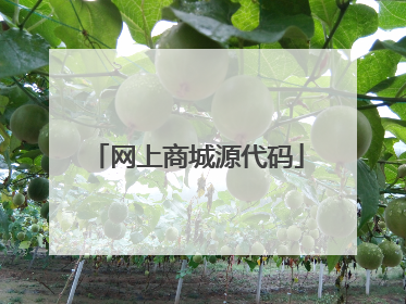 网上商城源代码