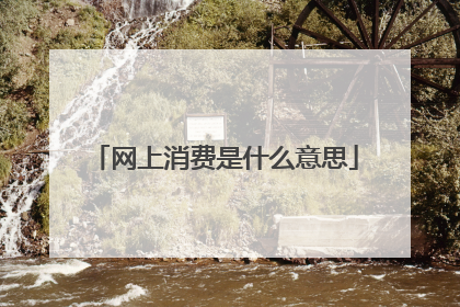网上消费是什么意思