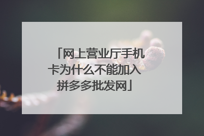 网上营业厅手机卡为什么不能加入拼多多批发网