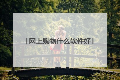网上购物什么软件好