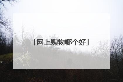 网上购物哪个好