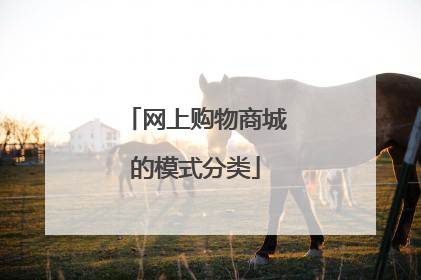 网上购物商城的模式分类