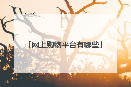 网上购物平台有哪些