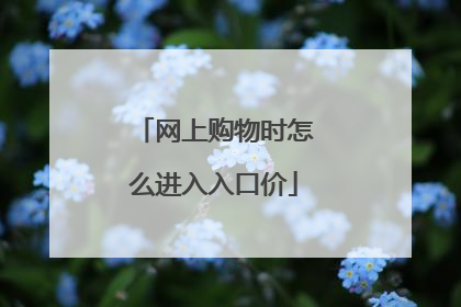 网上购物时怎么进入入口价
