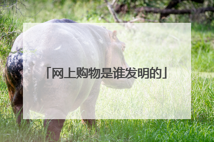 网上购物是谁发明的