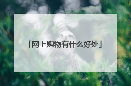 网上购物有什么好处