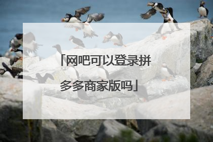 网吧可以登录拼多多商家版吗