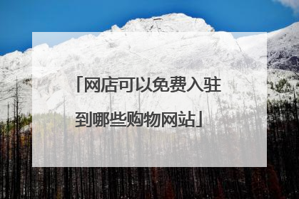 网店可以免费入驻到哪些购物网站