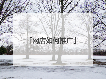 网店如何推广