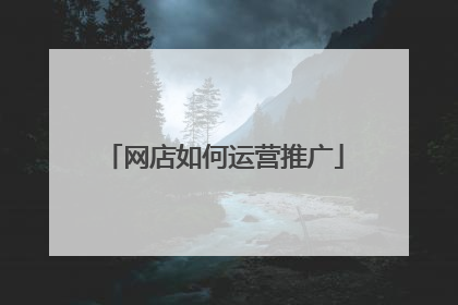 网店如何运营推广