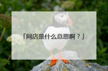 网店是什么意思啊?
