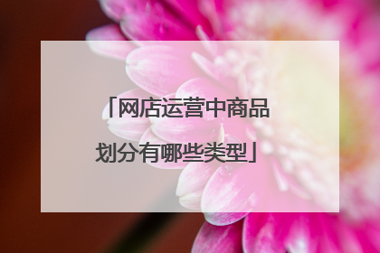 网店运营中商品划分有哪些类型