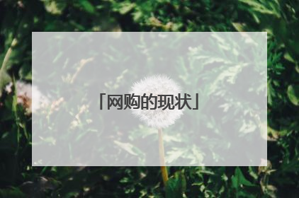 网购的现状