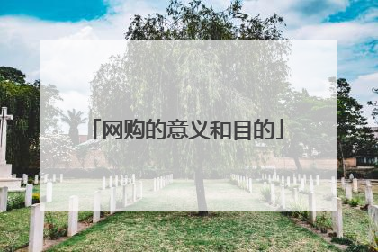 网购的意义和目的