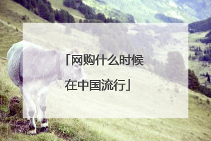 网购什么时候在中国流行