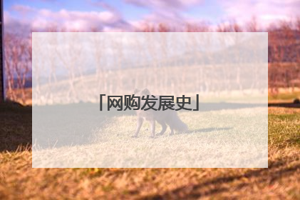 网购发展史