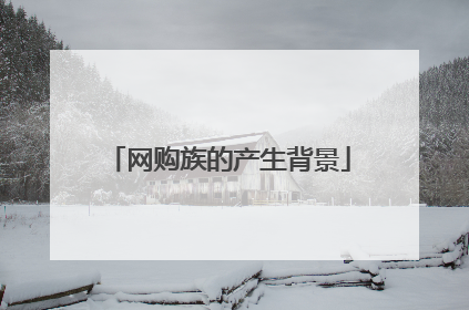 网购族的产生背景