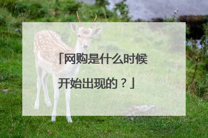 网购是什么时候开始出现的?
