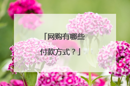 网购有哪些付款方式?
