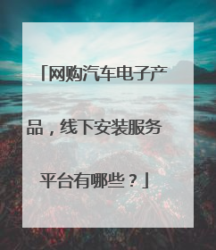网购汽车电子产品,线下安装服务平台有哪些?