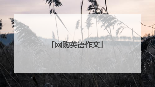 网购英语作文