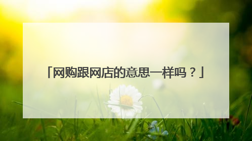 网购跟网店的意思一样吗?