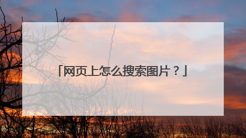 网页上怎么搜索图片?