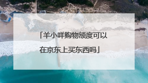 羊小咩购物额度可以在京东上买东西吗