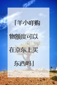 羊小咩购物额度可以在京东上买东西吗