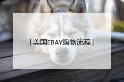 美国EBAY购物流程