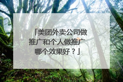 美团外卖公司做推广和个人做推广哪个效果好？