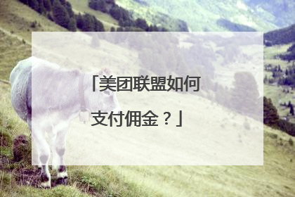 美团联盟如何支付佣金？