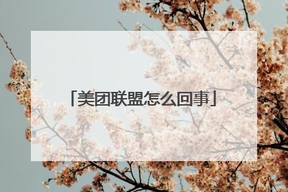 美团联盟怎么回事