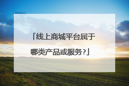 线上商城平台属于哪类产品或服务?