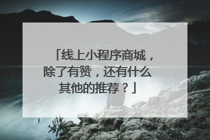 线上小程序商城,除了有赞,还有什么其他的推荐?