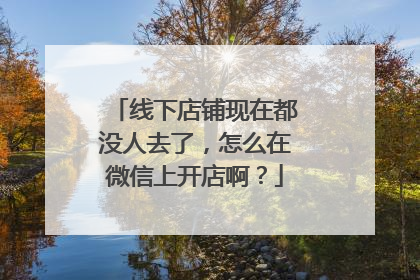 线下店铺现在都没人去了，怎么在微信上开店啊？