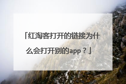 红淘客打开的链接为什么会打开别的app?