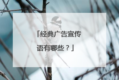 经典广告宣传语有哪些?
