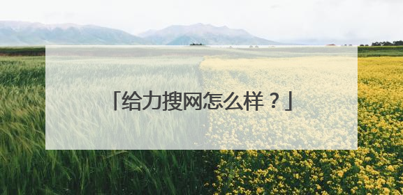 给力搜网怎么样？