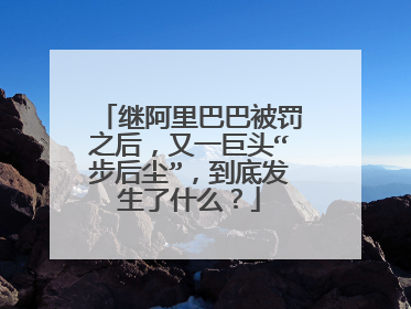 继阿里巴巴被罚之后，又一巨头“步后尘”，到底发生了什么？