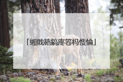 缃戝簵鎬庝箞杩愯惀