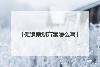 促销策划方案怎么写