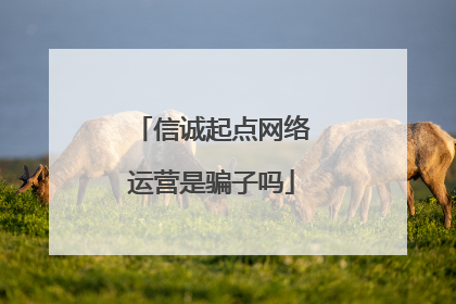 信诚起点网络运营是骗子吗