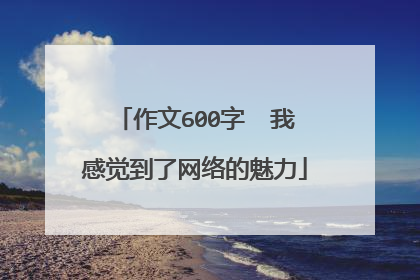 作文600字 我感觉到了网络的魅力